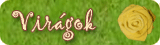 Vászonvirág - Virágok